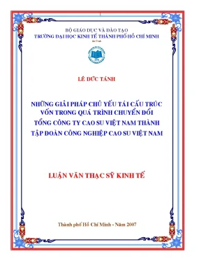 Luận văn những giải pháp chủ yếu tái cấu trúc vốn trong quá trình chuyển đổi tổng công ty cao su việt nam thành tập đoàn công nghiệp cao su việt nam