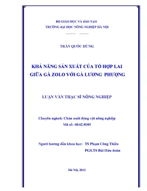 Khả năng sản xuất của tổ hợp lai giữa gà zolo với gà lương phượng