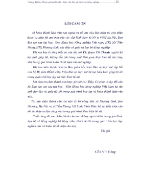 Nghiên cứu khả năng sử dụng một số chế phẩm sinh học trong phòng trừ bệnh héo xanh vi khuẩn ralstonia solanacearum smith hại cà chua tại đan phượng hà tây