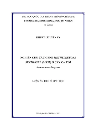 Luận án tiến sĩ sinh học nghiên cứu các gene methylketone synthase 2 mks2 ở cây cà tím solanum melongena