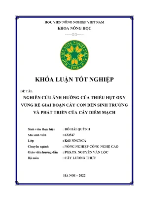 Nghiên cứu ảnh hưởng của thiếu hụt oxy vùng rễ giai đoạn cây con đến sinh trưởng và phát triển của cây diêm mạch