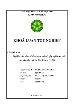 Nghiên cứu nấm rhizoctonia solani gây hại bệnh khô vằn trên cây ngô tại gia lâm hà nội