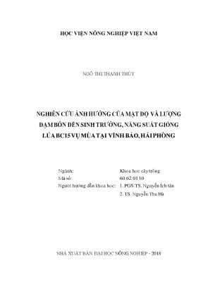 Nghiên cứu ảnh hưởng của mật độ và lượng đạm bón đến sinh trưởng năng suất giống bc15 vụ mùa tại vĩnh bảo hải phòng