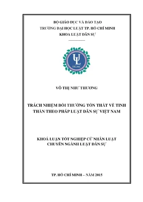 Trách nhiệm bồi thường tổn thất về tinh thần theo pháp luật dân sự việt nam