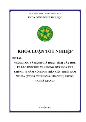 Sàng lọc và đánh giá hoạt tính gây độc tế bào ung thư và chống oxy hóa của chủng vi nấm nội sinh trên cây thiết sam núi đá tsuga chinensis franch pritz tại hà giang