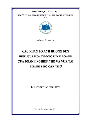 Luận văn các nhân tố ảnh hưởng đến hiệu quả hoạt động kinh doanh của doanh nghiệp nhỏ và vừa tại thành phố cần thơ