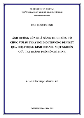 Luận văn ảnh hưởng của khả năng thích ứng tổ chức với sự thay đổi môi trường đến kết quả hoạt động kinh doanh một nghiên cứu tại thành phố hồ chí minh