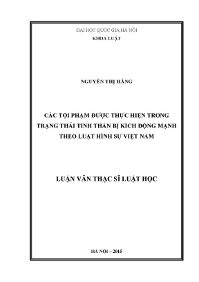 Các tội phạm được thực hiện trong trạng thái tinh thần bị kích động mạnh theo luật hình sự việt nam