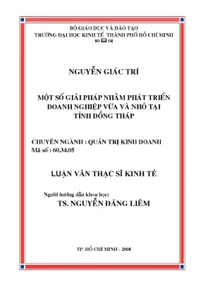 Luận văn một số giải pháp nhằm phát triển doanh nghiệp vừa và nhỏ tại tỉnh đồng tháp