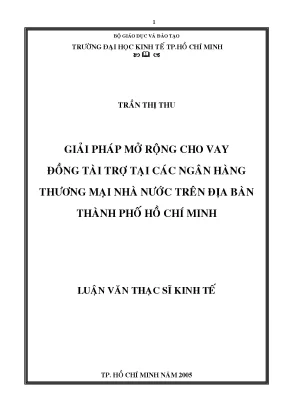 Luận văn giải pháp mở rộng cho vay đồng tài trợ tại các ngân hàng thương mại nhà nước trên địa bàn thành phố hồ chí minh luận văn thạc sĩ