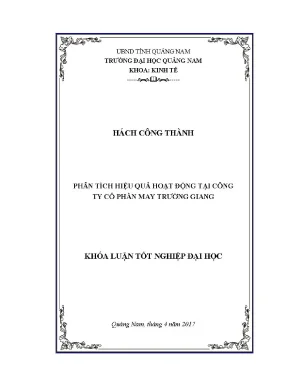 0629 phân tích hiệu quả hoạt động kinh doanh tại công ty cổ phần may trường giang hách công thành luận văn đh quảng nam