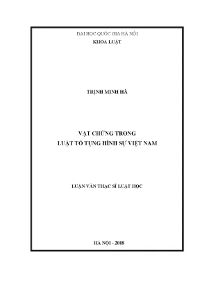 Vật chứng trong luật tố tụng hình sự việt nam