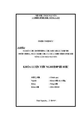 Luận văn thạc sĩ nghiên cứu ảnh hưởng của một số giá thể đến sinh trưởng phát triển của cà chua tại trường đại học nông lâm thái nguyên