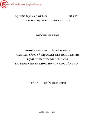 1714 nghiên cứu đặc điểm lâm sàng cận lâm sàng và nhận xét kết quả điều trị bệnh nhân nhồi máu não cấp tại bv đa khoa trung ương cần thơ
