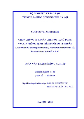 Chọn chủng vi khuẩn chế tạo và sử dụng vacxin phòng bệnh viêm phổi do vi khuẩn actinobacillus pleuropneumoniae pasteurrella multocida và streptococcus suis gây ra