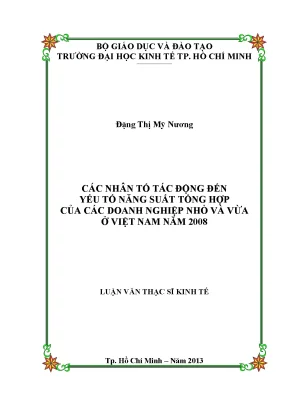 Luận văn các nhân tố tác động đến yếu tố năng suất tổng hợp của các doanh nghiệp nhỏ và vừa ở việt nam 2008