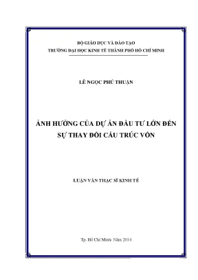 Luận văn ảnh hưởng của dự án đầu tư lớn đến sự thay đổi cấu trúc vốn