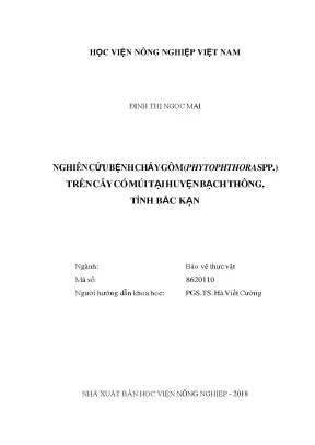Nghiên cứu bệnh chảy gôm phytophthora spp trên cây có múi tại huyện bạch thông tỉnh bắc kạn