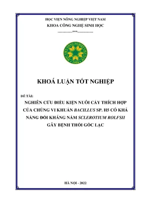 Nghiên cứu điều kiện nuôi cấy thích hợp của chủng vi khuẩn bacillus sp h5 có khả năng đối kháng nấm sclerotium rolefsii gây bệnh thối gốc lạc