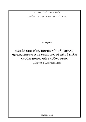 Luận văn thạc sĩ hóa môi trường nghiên cứu tổng hợp hệ xúc tác quang mgfe2o4