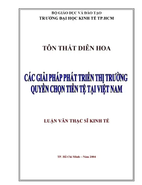 Luận văn các giải pháp phát triển thị trường quyền lựa chọn tiền tệ tại việt nam