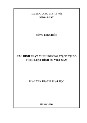 Các hình phạt chính không tước tự do theo luật hình sự việt nam