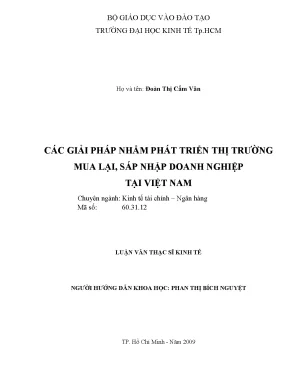 Luận văn các giải pháp nhằm phát triển thị trường mua lại sát nhập doanh nghiệp tại việt nam