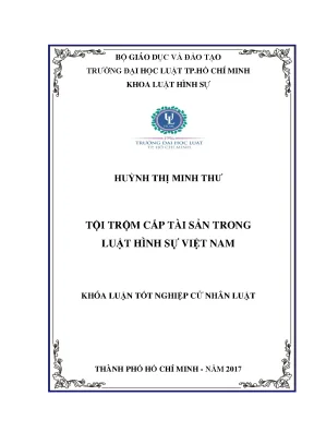 Tội trộm cắp tài sản trong luật hình sự việt nam