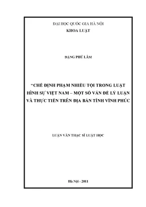 Chế định phạm nhiều tội trong luật hình sự việt nam một số vấn đề lý luận và thực tiễn trên địa bàn tỉnh vĩnh phúc