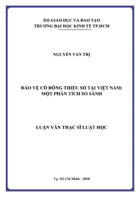 Luận văn bảo vệ cổ đông thiểu số tại việt nam một phân tích so sánh