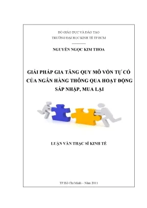 Luận văn giải pháp gia tăng quy mô vốn tực có của ngân hàng thông qua hoạt động sát nhập mua lại