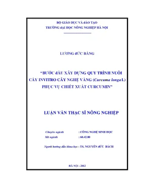 Bước đầu xây dựng quy trình nuôi cấy invitro cây nghệ vàng curcuma ionga l phục vụ chiết xuất curcumin