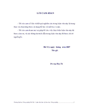 Khảo sát đặc điểm hình thái và đặc điểm nông học của các tổ hợp lúa lai hai dòng có sử dụng bố là các dòng mới chọn tạo