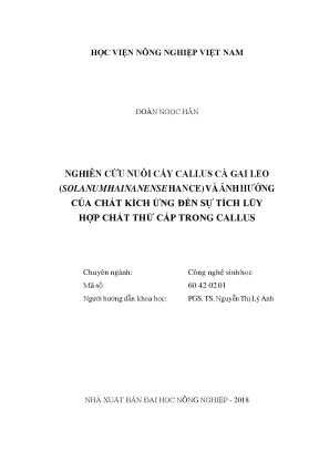 Nghiên cứu nuôi cấy callus cà gai leo solanum hainanense hance và ảnh hưởng của chất kích ứng đến sự tích lũy hợp chất thứ cấp trong callus