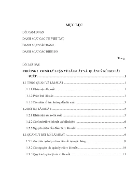 Luận văn quản lý rủi ro lãi suất tại ngân hàng tmcp xuất nhập khẩu việt nam thực trạng và giải pháp