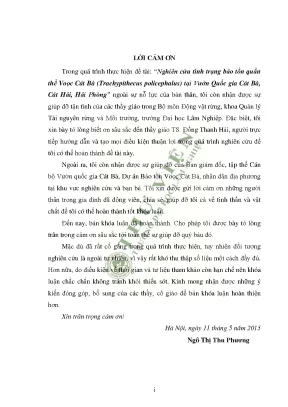 Nghiên cứu tình trạng bảo tồn quần thể voọc cát bà trachypithecus policephalus trouessart 1911 tại vườn quốc gia cát bà cát hải hải phòng