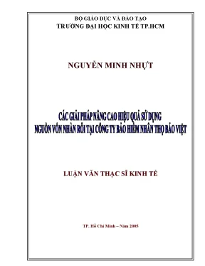 Luận văn các giải pháp nâng cao hiệu quả sử dụng nguồn vốn nhàn rỗi tại công ty bảo hiểm nhân thọ bảo việt
