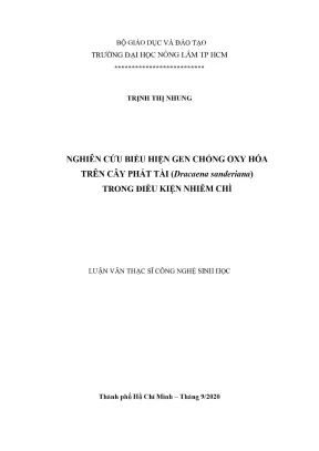 Luận văn thạc sĩ công nghệ sinh học nghiên cứu biểu hiện gen chống oxy hóa trên cây phát tài dracaena sanderiana trong điều kiện nhiễm chì