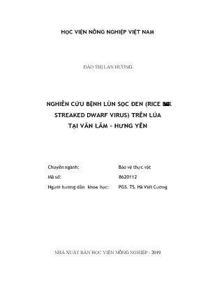Nghiên cứu bệnh lùn sọc đen rice black streaked dwarf virus trên lúa tại văn lâm hưng yên