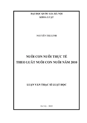 Nuôi con nuôi thực tế theo luật nuôi con nuôi năm 2010
