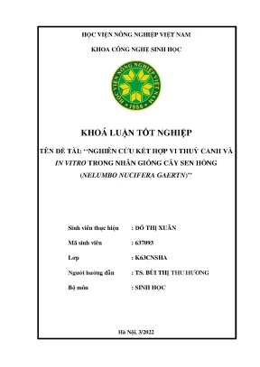 Nghiên cứu kết hợp vi thủy canh và in vitro trong nhân giống cây sen hồng nelumbo nucifera gaertn