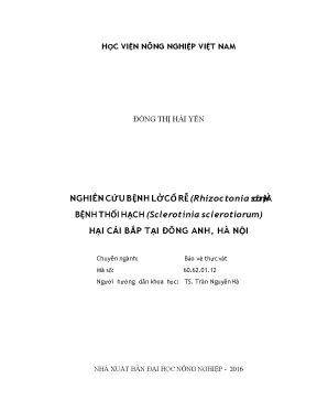 Nghiên cứu bệnh lở cổ rễ rhizoctonia solani và bệnh thối hạch sclerotinia sclerotiorum hại cải bắp tại đông anh hà nội