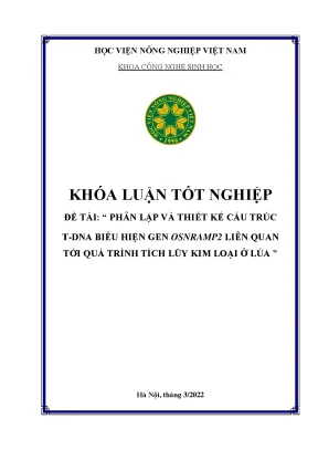 Phân lập và thiết kế cấu trúc t dna biểu hiện gen osnramp2 liên quan tới quá trình tích lũy kim loại ở lúa
