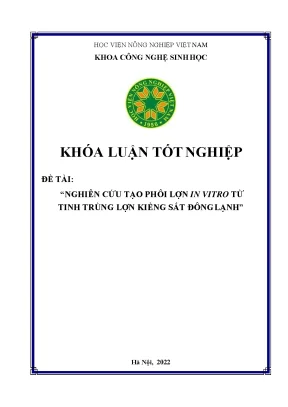 Nghiên cứu tạo phôi lợn in vitro từ tinh trùng lợn kiềng sắt đông lạnh