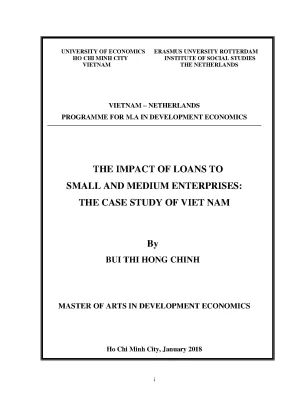 Luận văn the impact of loans to small and medium enterprises the case study of vietnam