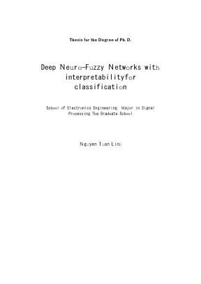 Deep neuro fuzzy networks with interpretability for classification