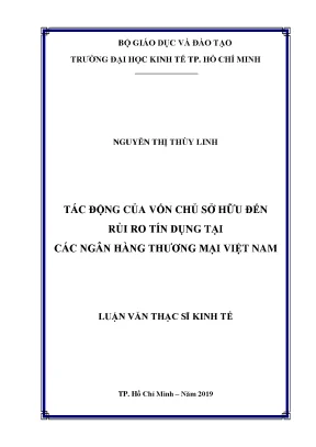 Luận văn tác động của vốn chủ sở hữu đến rủi ro tín dụng tại các ngân hàng thương mại việt nam