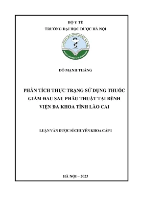 Đỗ mạnh thắng phân tích thực trạng sử dụng thuốc giảm đau sau phẫu thuật tại bệnh viện đa khoa tỉnh lào cai luận văn dược sĩ chuyên khoa cấp i