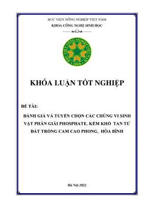 Đánh giá và tuyển chọn các chủng vi sinh vật phân giải phosphate kẽm khó tan từ đất trồng cam cao phong hòa bình