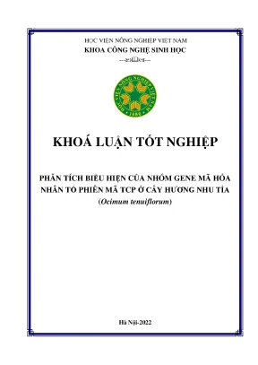 Phân tích biểu hiện của nhóm gene mã hóa nhân tố phiên mã tcp ở cây hương nhu tía ocimum tenuiflorum